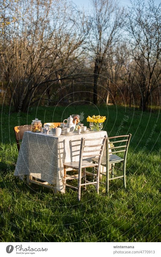 Table in the middle of a meddow table decoration easter chairs spring backyard porcelain sun sunlight village cottage fest warm grass green yellow blue nature