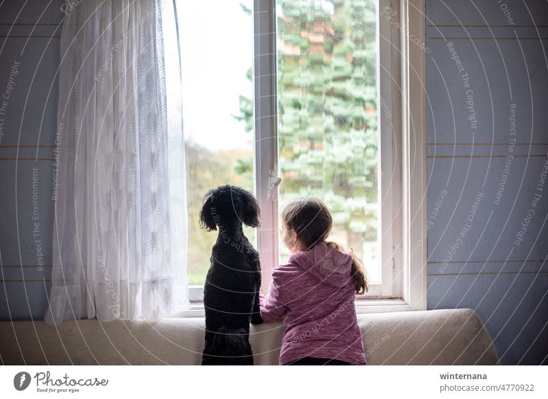 Friends are watching trough the window, girl and a dog child kid wathcing curtains wall blue house home cottage joy friends forever childhood lifestyle cheerful