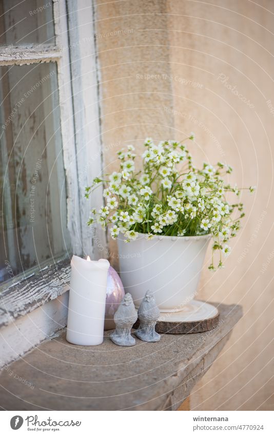 Pot with flowers, on the home window White candle light chicken egg white yellow wood spring bloom nature spring feeling come into bloom spring flower naturally
