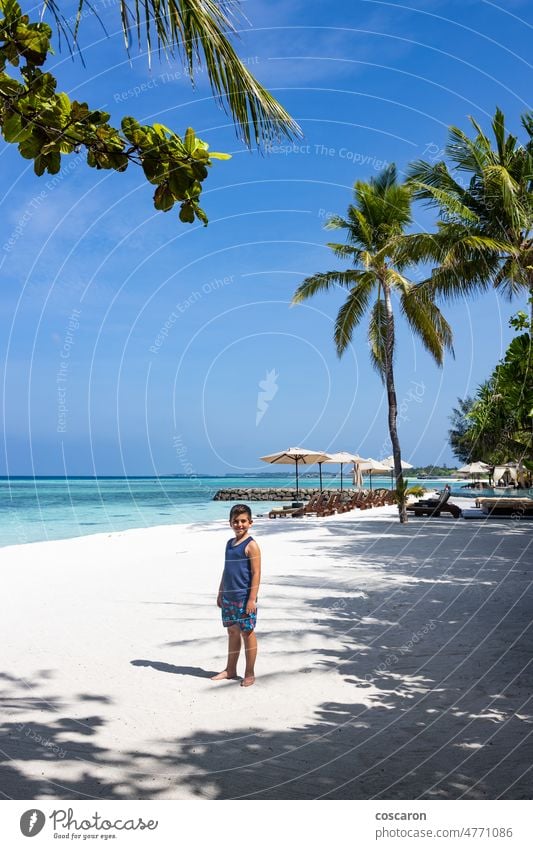 Little kid on a white sand beach with palm trees asia beautiful boy caribbean child coast coastline coconut cute deserted enjoyment exotic family fun happy
