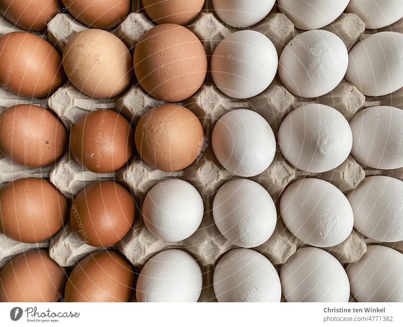 A layer of brown and white eggs from happy free-range chickens Chicken eggs natural-coloured fresh eggs species-appropriate animal husbandry Eggshell