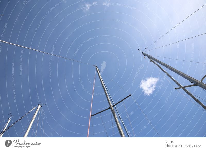 Sail masts in front of sunny sky with clouds in slanting position Sailing Sailboat Rope Sky Hang Parallel structure Maritime Clouds sail mast Worm's-eye view
