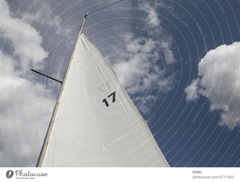 Sail 17 number Clouds Sky Navigation Sailing Wind Tense sunny Airy canvas Stitching seams