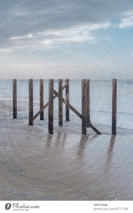 Graphic looking horizon line with wooden stakes Ocean Bollard Horizon graphically Line Minimalistic SeaCoast North Sea Gray Landscape Nature Water