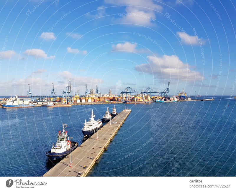 Port | Las Palmas de Gran Canaria Spain Canaries Harbour wharf Mole ship Crane Container Goods Trade Transport Ocean Water Atlantic Ocean Industry Logistics