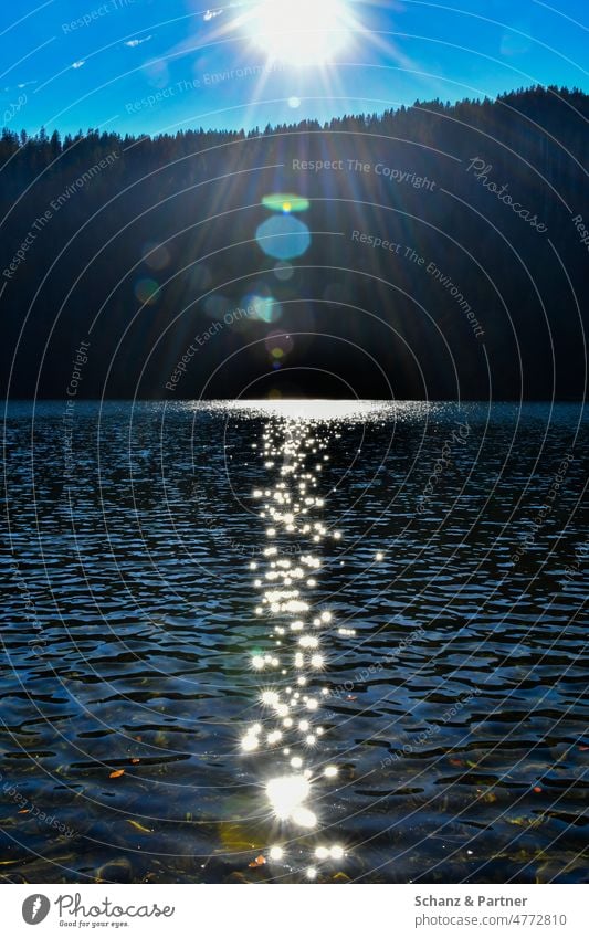 Reflection of sun rays in the water surface of a mountain lake Black Forest Lake Water vacation Sunbeam Sky Horizon Glistening Lensflare lensflares Back-light
