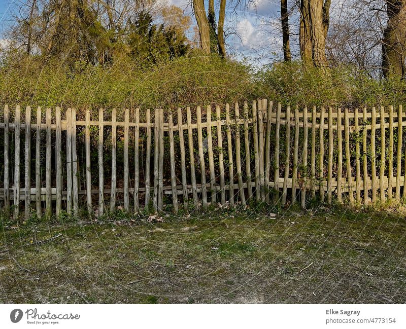 Once upon a time there was a picket fence with a space in between to look through " CH. Morgenstern" lattice fence Fence Exterior shot Colour photo Nature Old