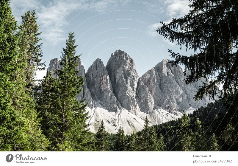 Geisler [landscape] Elements Earth Air Sky Clouds Summer Beautiful weather Tree Forest Hill Rock Alps Mountain Peak Stand Exceptional Sharp-edged Gigantic Large