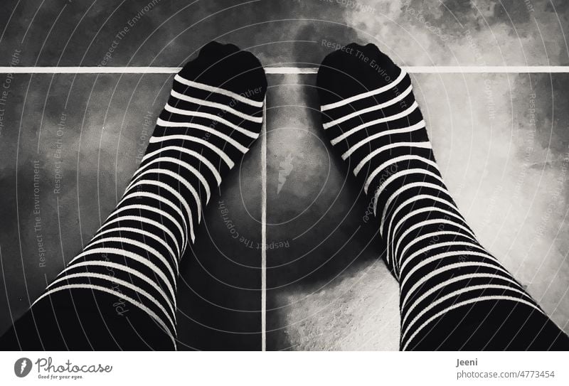 Zebra in sock shape - or socks in zebra stripes black-and-white Striped from on high Legs feet Clothing Symmetry Woman Human being Stockings Zebra crossing