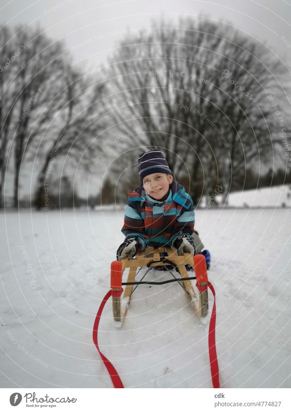 Childhood | happy boy with sledge in snow. Human being Boy (child) Winter Snow Sleigh Park White bare trees red sled ribbons white landscape sledging winter fun