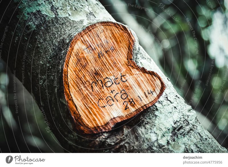 IM heart immortalized , Matt and Clara. In the wooden heart forever. May the love also remain and hold for a long time. Heart Romance Sign Heart-shaped