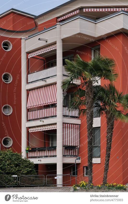 Vacation feeling in Lugano House (Residential Structure) Building Red Balcony Sun blind red white striped palms Vacation home Architecture Switzerland Facade