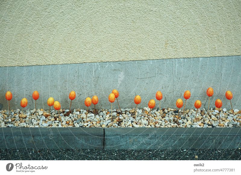 Egg salad on gravel Easter eggs Decoration Many Painted Orange Identical Equal Collection fraussen Roadside Impaled Gravel Public Holiday house wall