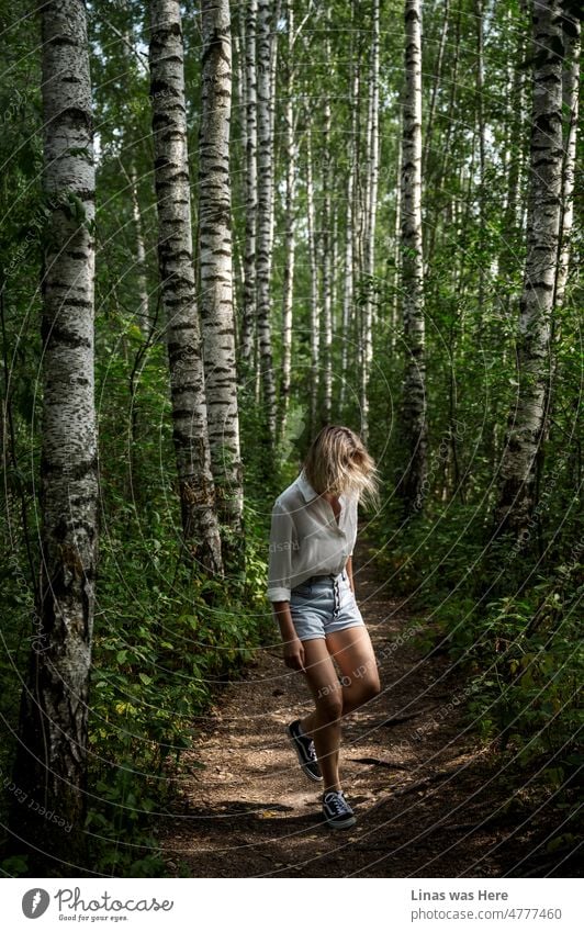 A small pathway in the woods surrounded by marvelous birches. Wild nature accompanies wild girls in this forest. Dressed in a white shirt and blue jeans classics she is running freely. A beautiful blonde woman on a sunny summer day.