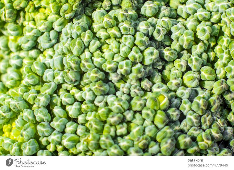 Surface texture of freshness Broccoli vegetable food broccoli green closeup macro nature ingredient background cling healthy natural object organic diet