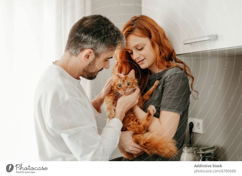 Couple caressing cat in kitchen couple red hair animal pet stroke relationship redhead owner bonding love together ginger home spend time boyfriend long hair