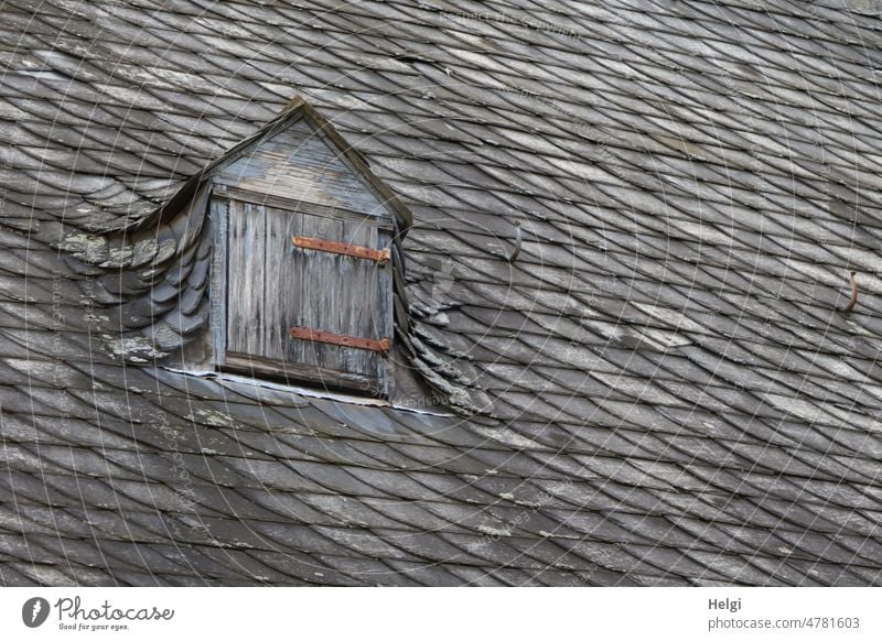 Dormer in an old shingle roof of a historic church Roof shingles locked Old Historic Church church roof Detail Exterior shot Deserted Architecture Building