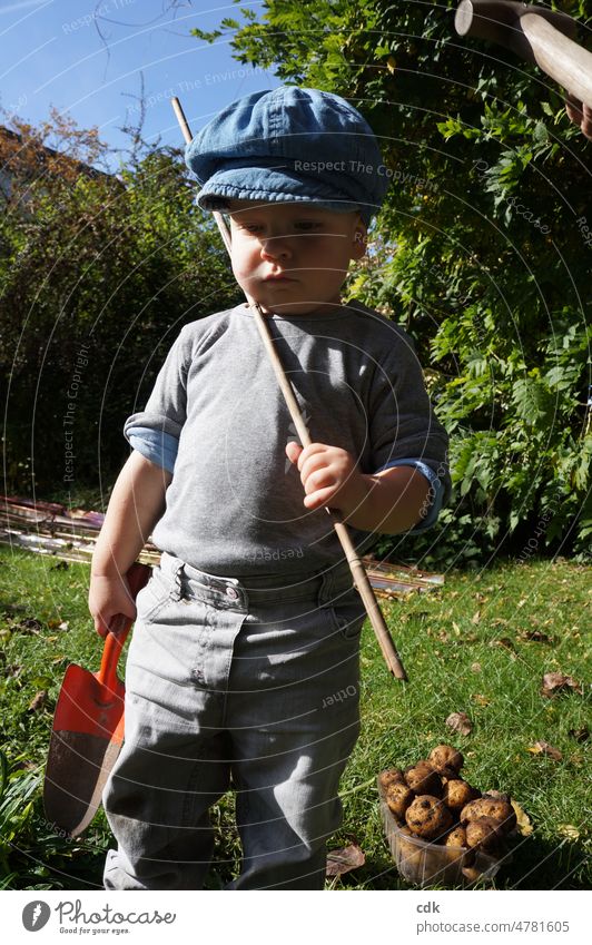 Childhood | Urban Gardening | Being there is everything. Toddler Boy (child) Human being Small youthful Urban gardening help labour do gardening Dig Shovel reap