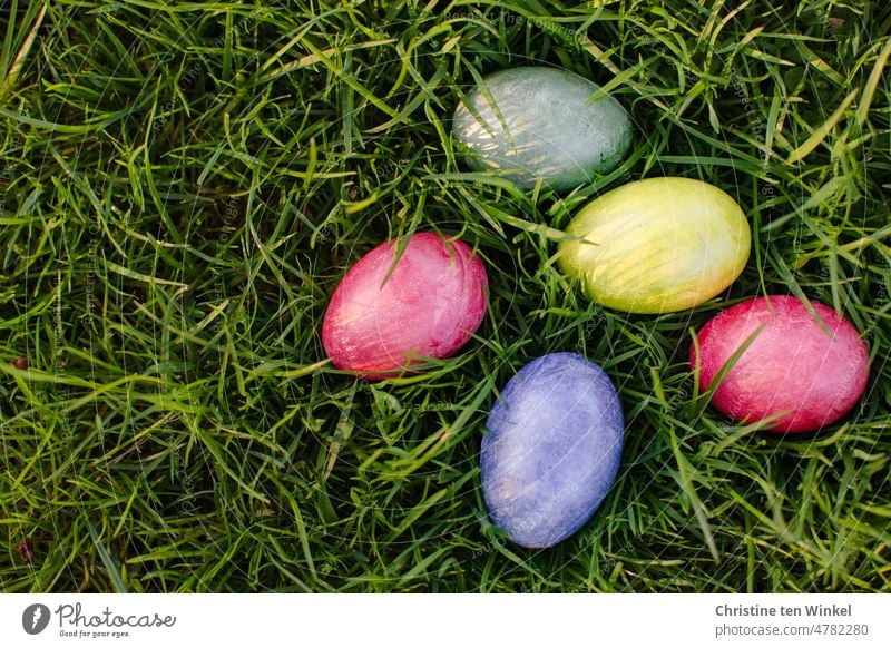 Colorful Easter eggs lie in the grass and in the sunlight you can see delicate shadows of the grass blades on the colorful eggshells Multicoloured Chicken eggs