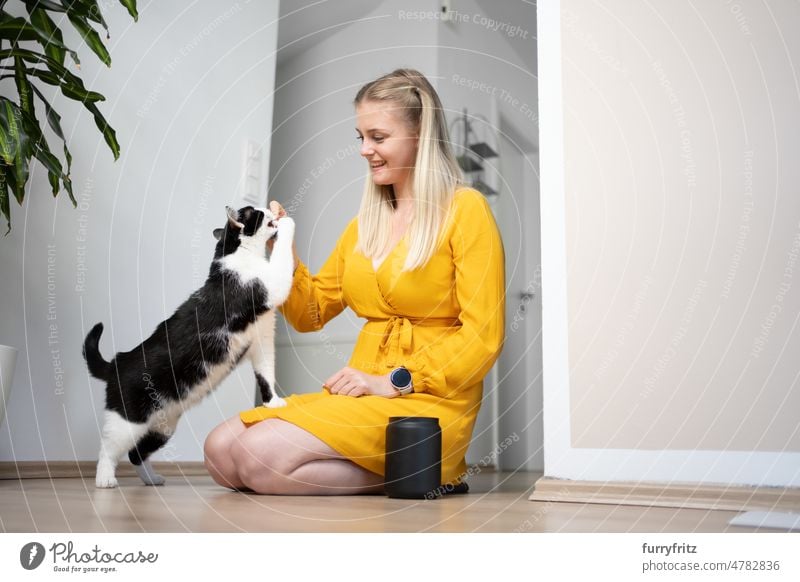 young woman kneeling on floor feeding snacks to her cat kitty one animal pet owner female person caucasian girl blond hair dress yellow long hair beautiful