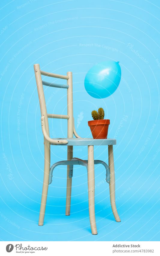 Cactus on chair and blue balloon in studio cactus potted decorative creative decoration cacti colorful style succulent seat occupy prickle collection fragile