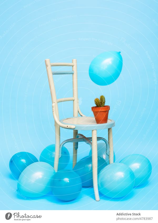 Cactus on chair and blue balloons in studio cactus potted decorative creative decoration cacti colorful style succulent seat occupy prickle collection fragile