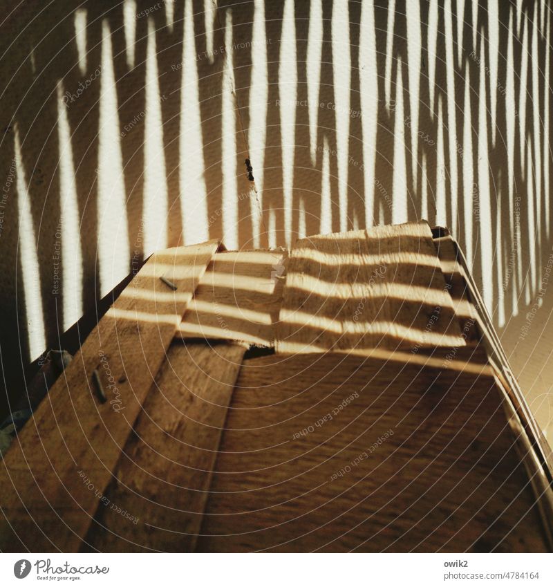 shadow plays detail Wall (building) Shaft of light Shadow Obscure puzzling Unclear lines Chip basket Wood Gridlines Line pattern Many Sunlight Dark side