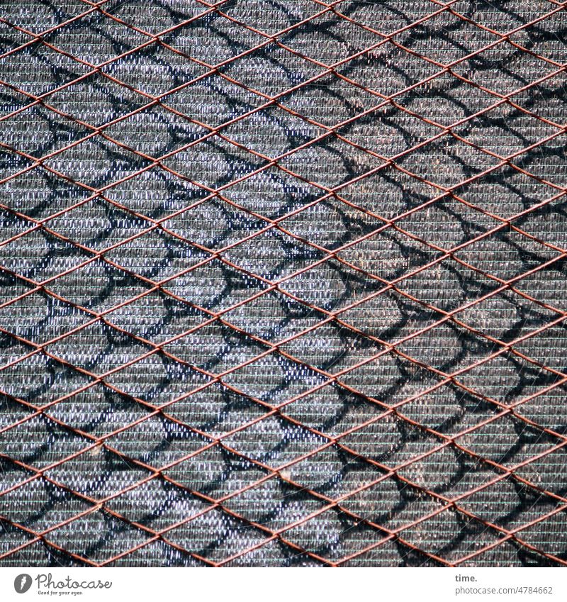 Stories from the fence (123) Fence Pattern structure Wire Gray diamond Protection Safety opaque locked Barrier Border Captured Net tarpaulin