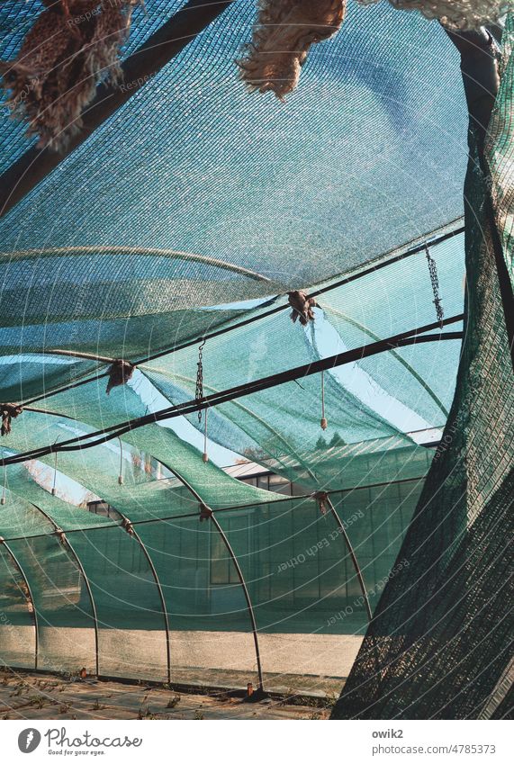 airy Winter garden Tent weave transparent Semicircular convex crease Framework Scaffolding Construct Translucent Light Long shot Building Construction