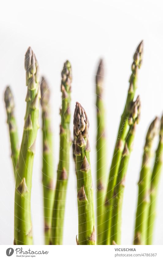 Bunch of green asparagus at white background, close up. bunch food seasonal spring vegetable ingredients front view concept food background fresh healthy