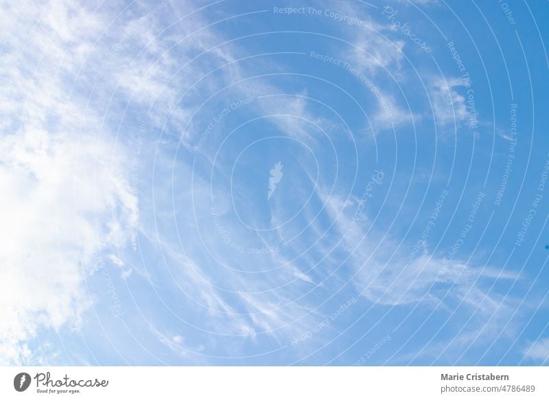 Cirrus clouds on a bright blue summer sky cirrus clouds blue sky weather season climate background environment cloud formation no people copy space day high