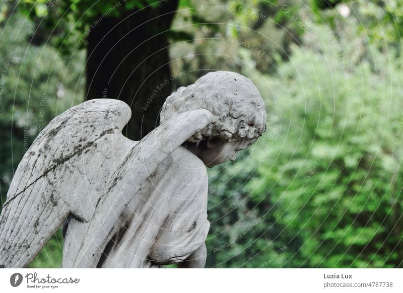 The angel - sculpture of an angel with childish face from behind, in front of green foliage Angel Sculpture Grand piano Stone Statue Child Childlike Cemetery