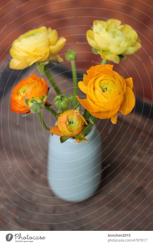 A bouquet of yellow orange ranunculus in a turquoise vase standing on a wooden board Flower Blossom hygge Wood Vase Buttercup Yellow Orange Green Turquoise
