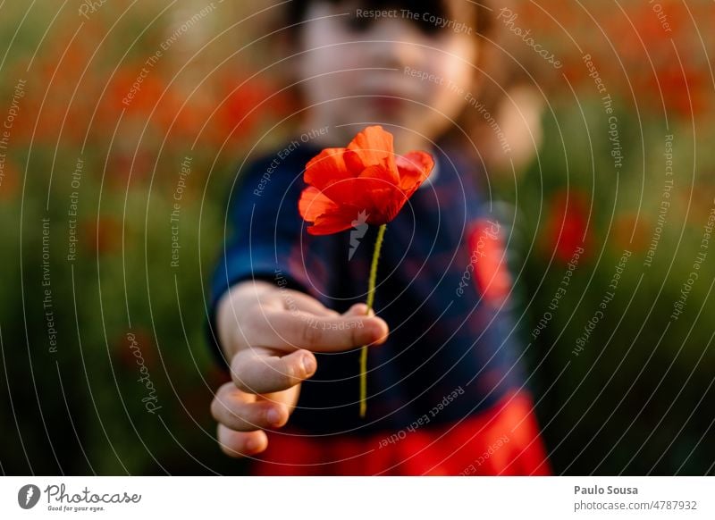 Child holding a red poppy Girl 3 - 8 years one person real people Red Poppy Mother's Day Love Cute Poppy blossom Colour photo Exterior shot Infancy Human being