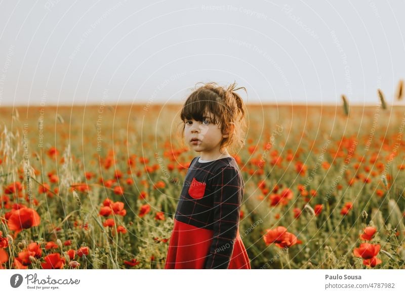 Cute girl standing on poppy field one person real people 3 - 8 years Child Infancy Colour photo Caucasian Joy Portrait photograph Human being Lifestyle Poppy