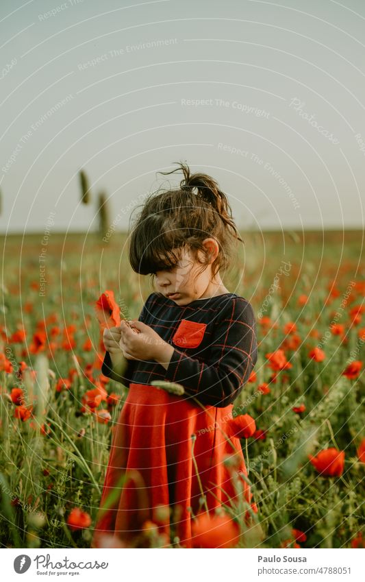 Girl picking poppy Child 3 - 8 years real people one person Field Authentic Nature explore picking flowers Poppy Poppy blossom Poppy field Blossoming Flower