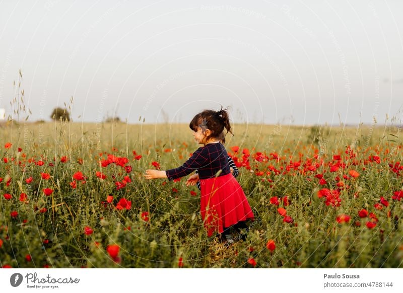Girl picking poppy Child 3 - 8 years real people one person Field Authentic Nature explore picking flowers Poppy Poppy blossom Poppy field Blossoming Flower