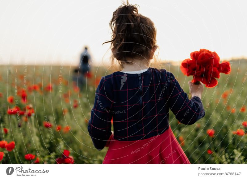 rear view child holding bouquet of poppies Rear view Child Girl Bouquet Poppy Poppy blossom Poppy field Spring Spring fever Corn poppy Plant Nature Field