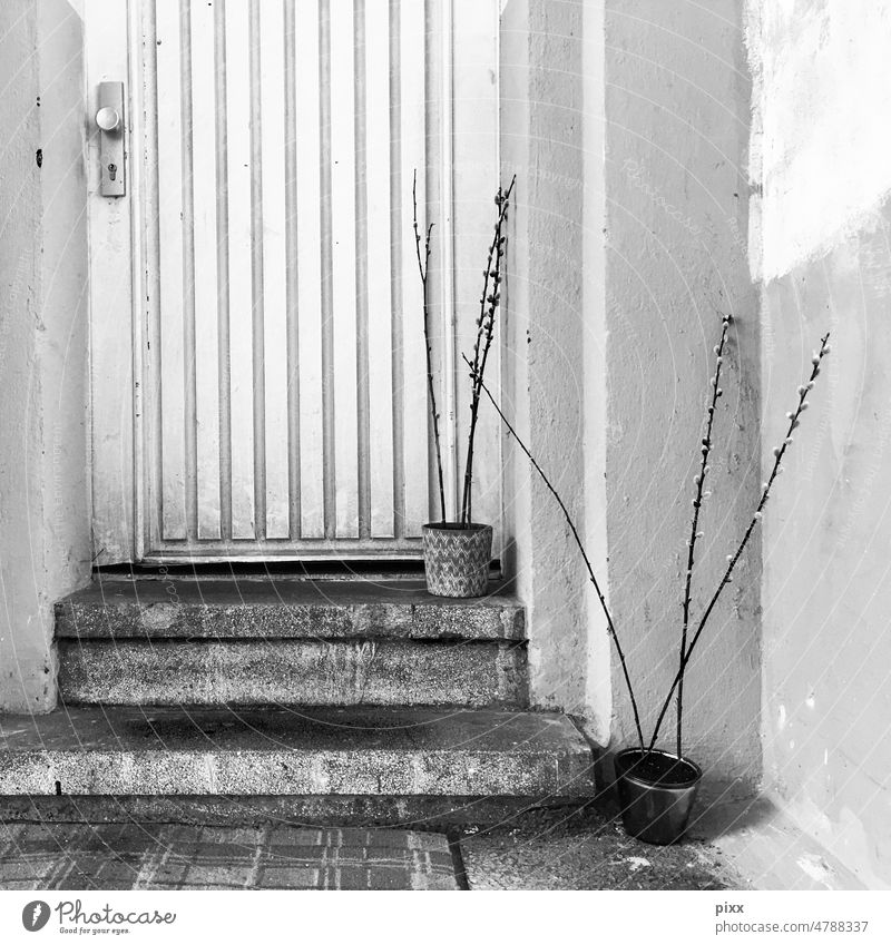 Front door to an apartment. Dull overall impression. Two steps lead up. Black and white. Doormat in front of the steps and two flower pots with dried willow catkins....