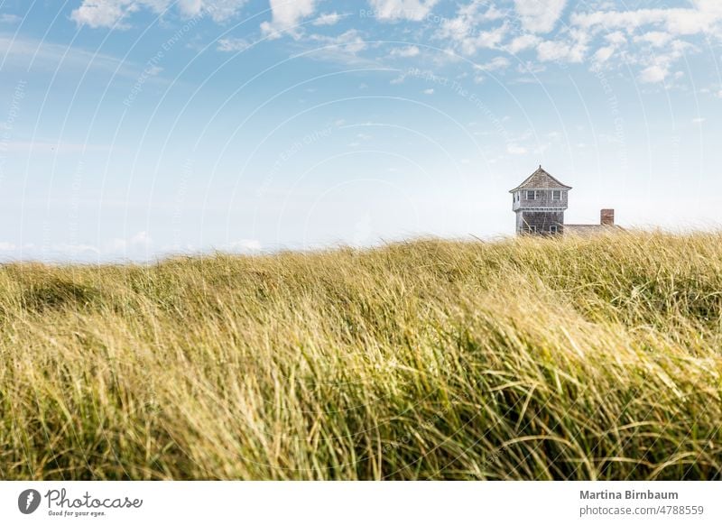 Blue sky and dunes with grass in front of the life saving building in Provincetown life saving station building landscape nature travel vacations beach outdoors