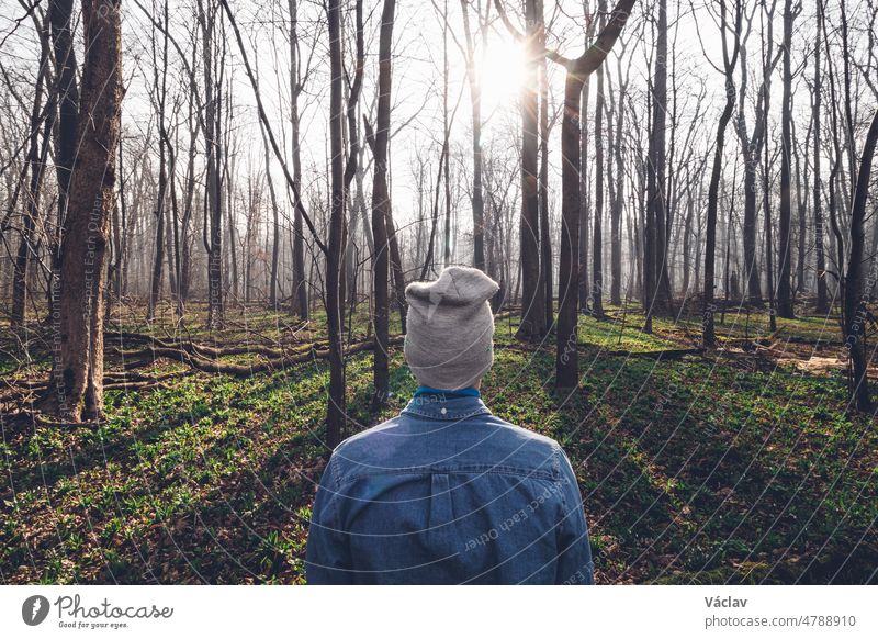 man in a blue shirt and grey vintage-style hat walks in a misty forest in the fresh morning air. Stylish guy among trees at sunrise. Discovering one's own nature
