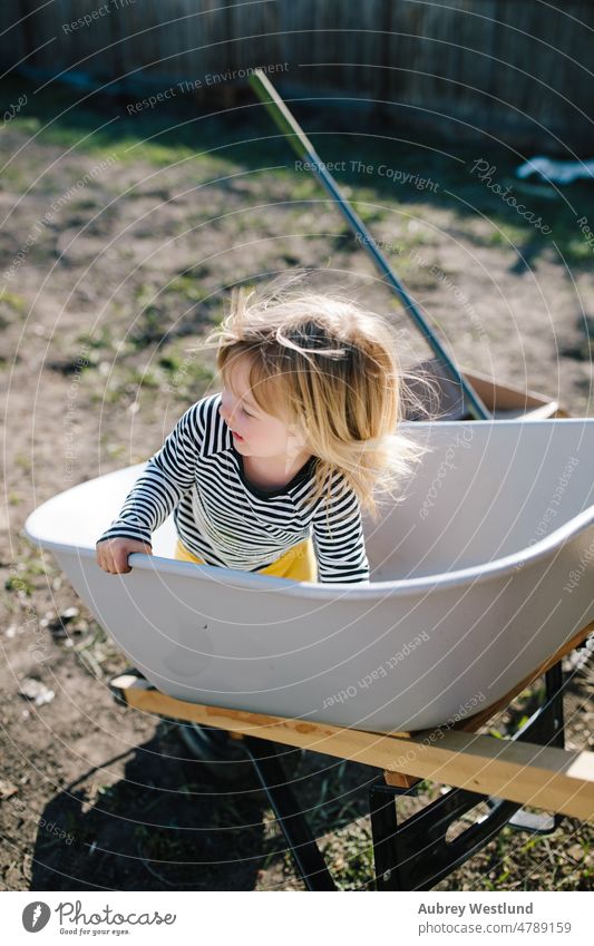 toddler girl having fun riding in a wheel barrow agriculture backyard bonding cart caucasian child childhood cute equipment face family farm father female funny