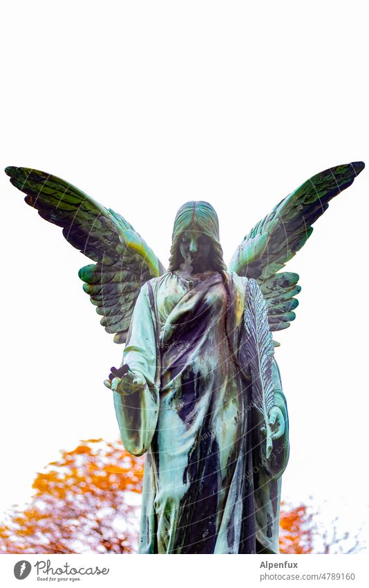 dazzling personality Angel angel wings Statue Religion and faith Sky Hope Exceptional Exterior shot Guardian angel Belief Day Grand piano Grief Death Cemetery