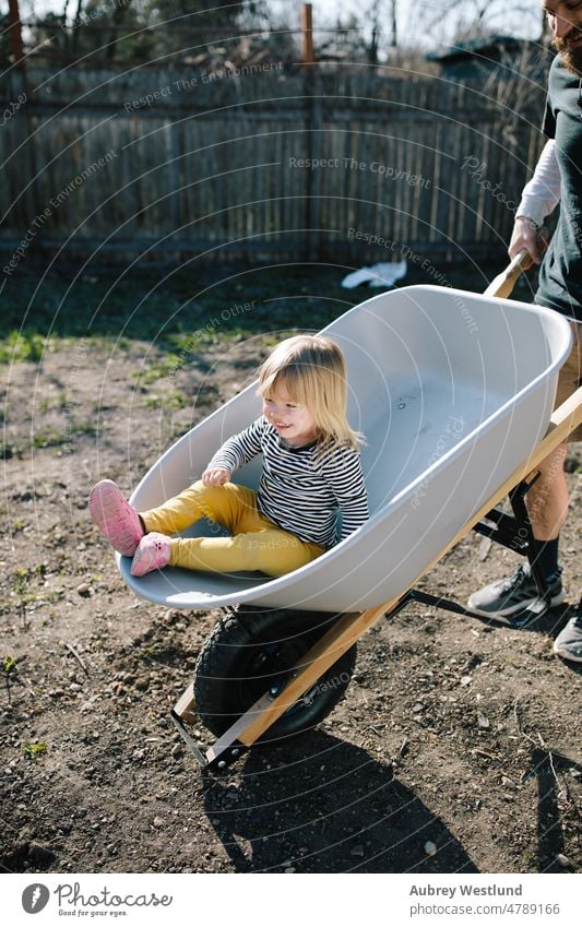 playful father and daughter in a wheelbarrow doing yard work agriculture backyard blonde cart caucasian child childhood cute equipment face family farm female