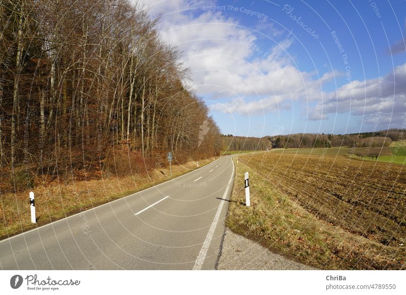 Road on the Swabian Alb inSpring with blue sky and beautiful clouds Clouds Street Sky Tree Meadow Landscape Blue Grass Colour photo Day Deserted Exterior shot