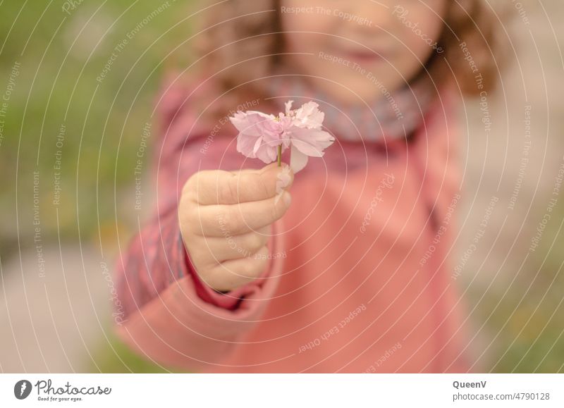 A child holds a flower in pink Pink Flower Infancy Nature Plant Spring Parenting Kindergarten Toddler 3 - 8 years Joy Child