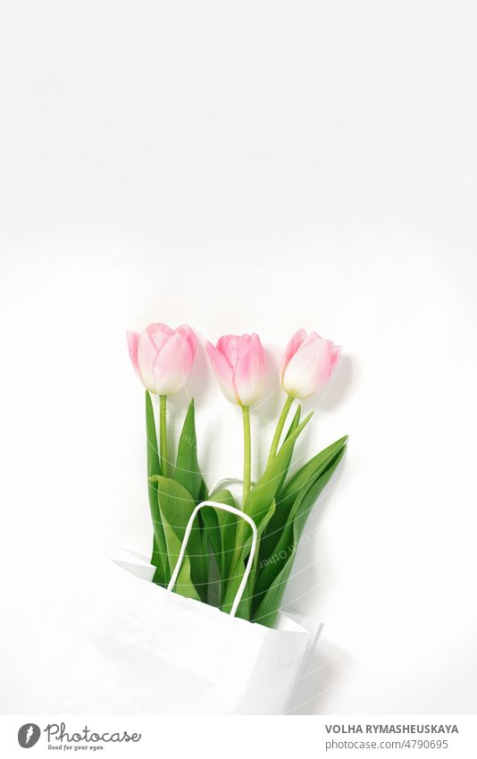 Flat lay composition with pink tulips in paper bag on white background greeting package romantic woman birthday decoration flower gift holiday bouquet flat