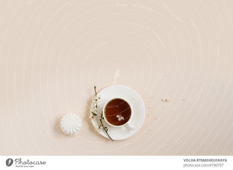 Flat lay of tea cup standing with apple flowers and marshmellow on beige background with copy space white aroma green herb flavour coffee cup contemporary