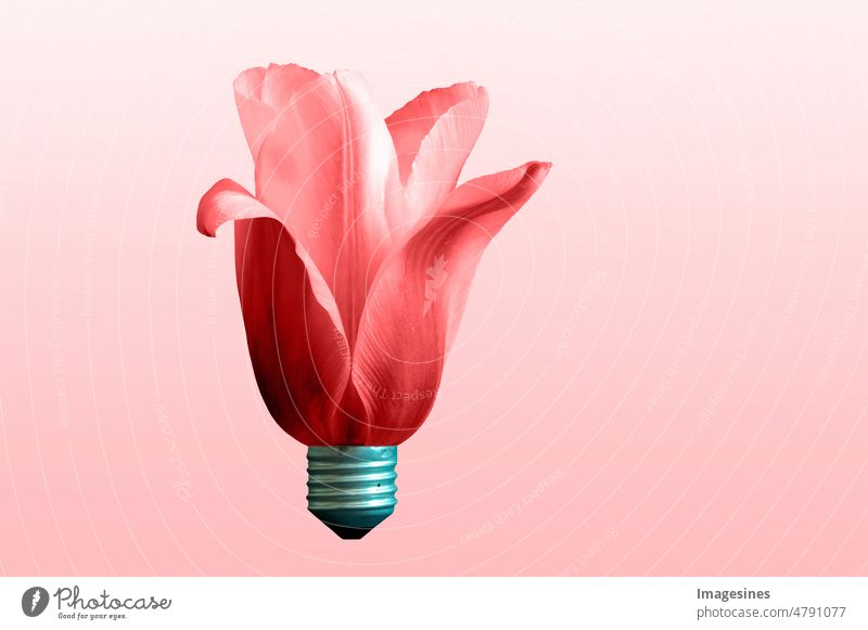 Creative concept plant flower photo of tulip in the form of a light bulb. Eco light on colored background. Ecology, thinking concept Abstract Art Blossom