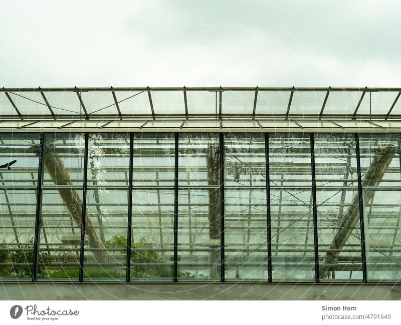 greenhouse Greenhouse glass house self-sufficiency food Agriculture Harvest Food food products Sustainability Horticulture controlled agriculture urban